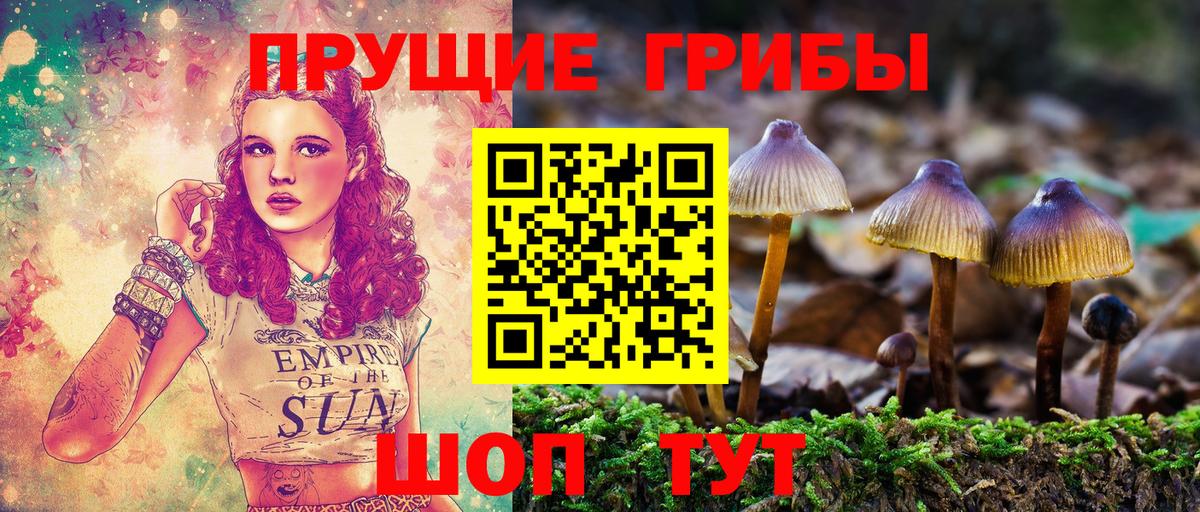 Галлюциногенные грибы ЛСД  Вход с VPN  Алатырь  Галлюциногенные грибы Magic Shrooms 